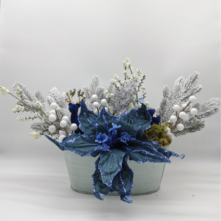 Forêt sous le givre bleu