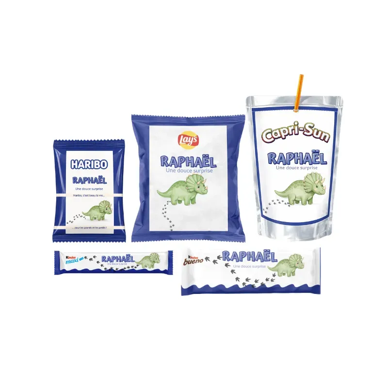 Pack aventure disosaure ludique