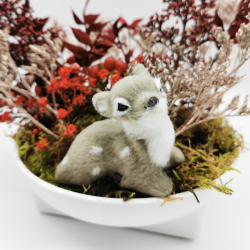 Balade de Noël dans une clairière enchantée