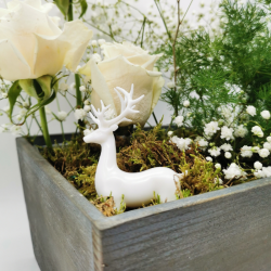 Charme végétal aux roses ivoire