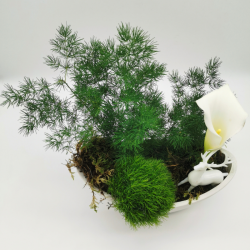 Clairière hivernale au cerf blanc