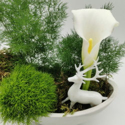 Clairière hivernale au cerf blanc