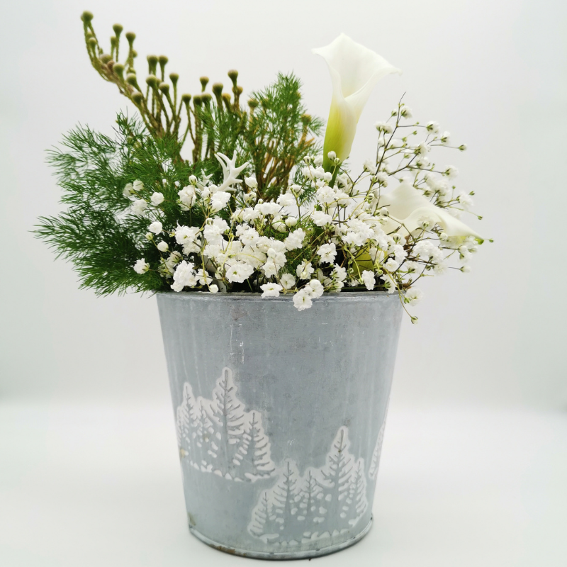 Douceur d’un matin d’hiver fleuri