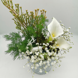 Douceur d’un matin d’hiver fleuri