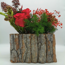 Éclat d’hiver aux roses carmin