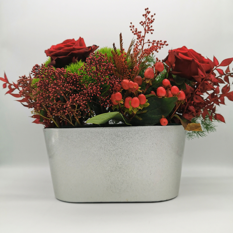 Éclat d’hiver aux roses de Noël