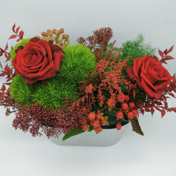 Éclat d’hiver aux roses de Noël