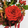 Éclat de Noël aux roses rouges