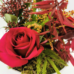 Éclat de Noël aux roses rouges