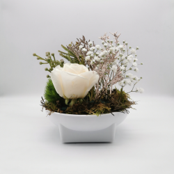 Éclat de pureté florale