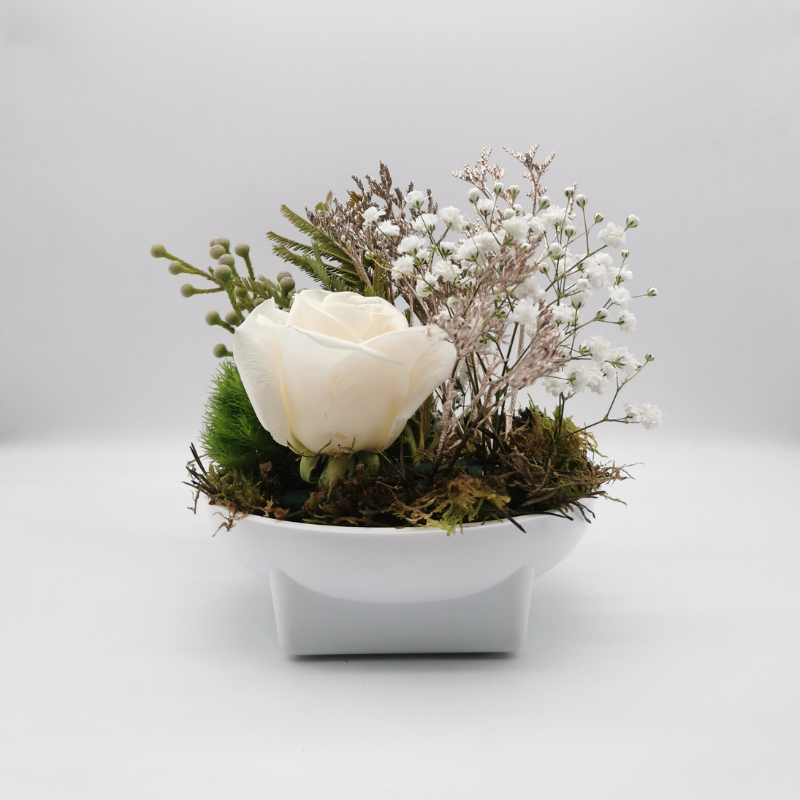 Éclat de pureté florale