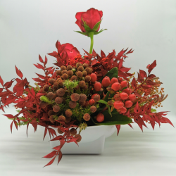 Éclat de rose rouge au cœur de Noël