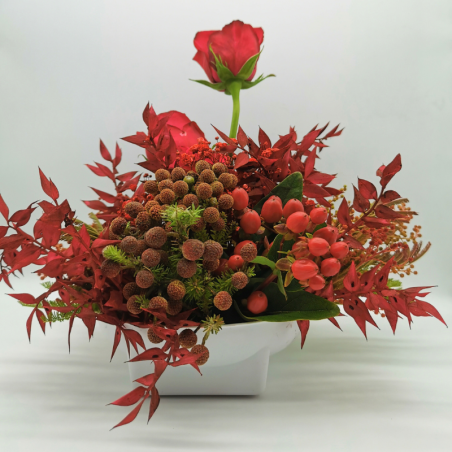 Éclat de rose rouge au cœur de Noël