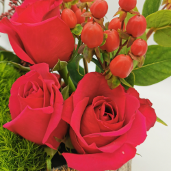 Éclat de roses sur écorce naturelle