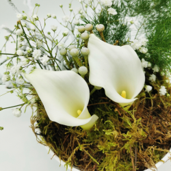 Écrin végétal de callas immaculés