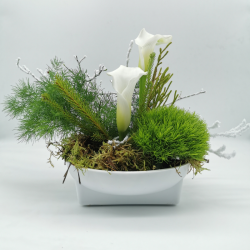 Éveil d’hiver aux arômes de pureté