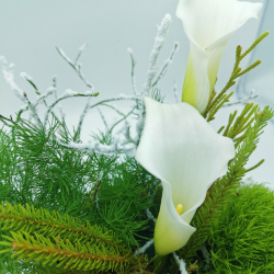 Éveil d’hiver aux arômes de pureté