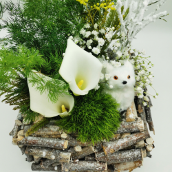 Forêt d’hiver enchantée au renard blanc