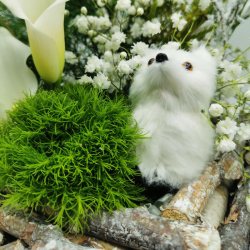 Forêt d’hiver enchantée au renard blanc