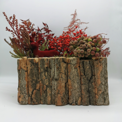 Forêt écarlate et son cerf de velours