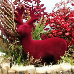 Forêt écarlate et son cerf de velours