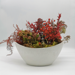 Lueur de Noël au cœur du jardin