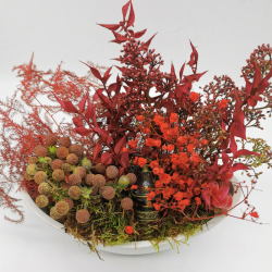 Lueur de Noël au cœur du jardin