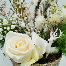 Souffle d’hiver en écorce naturelle