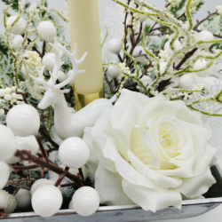 Silence blanc au cœur de la forêt